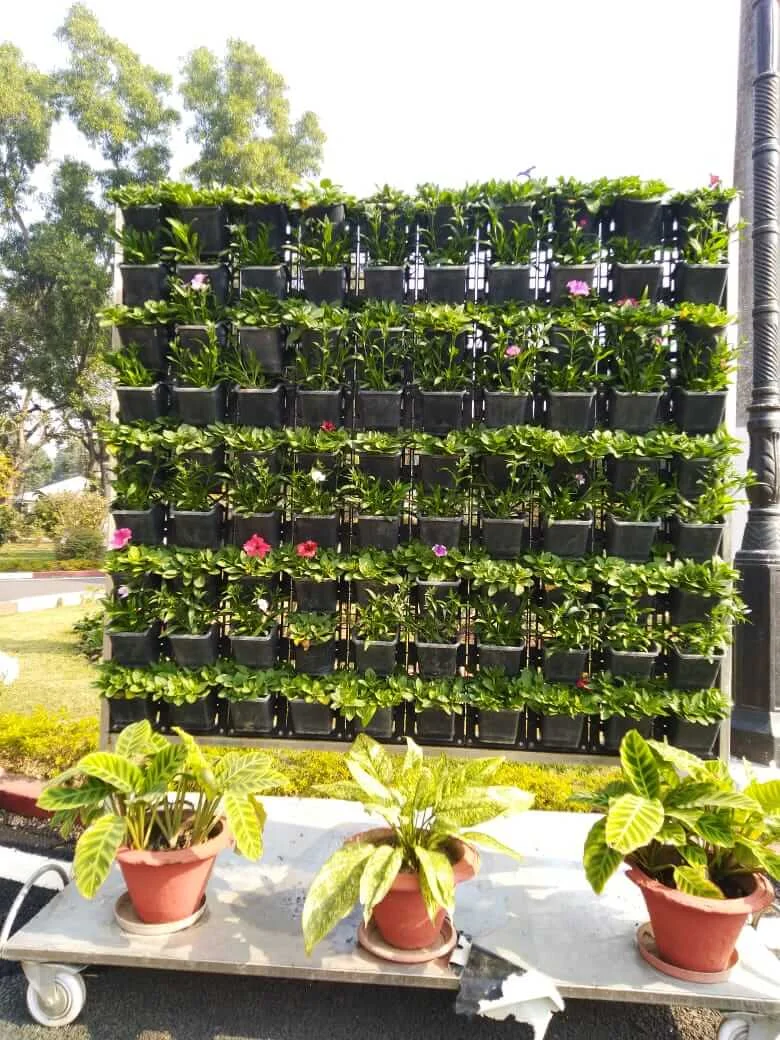 Vertical Garden