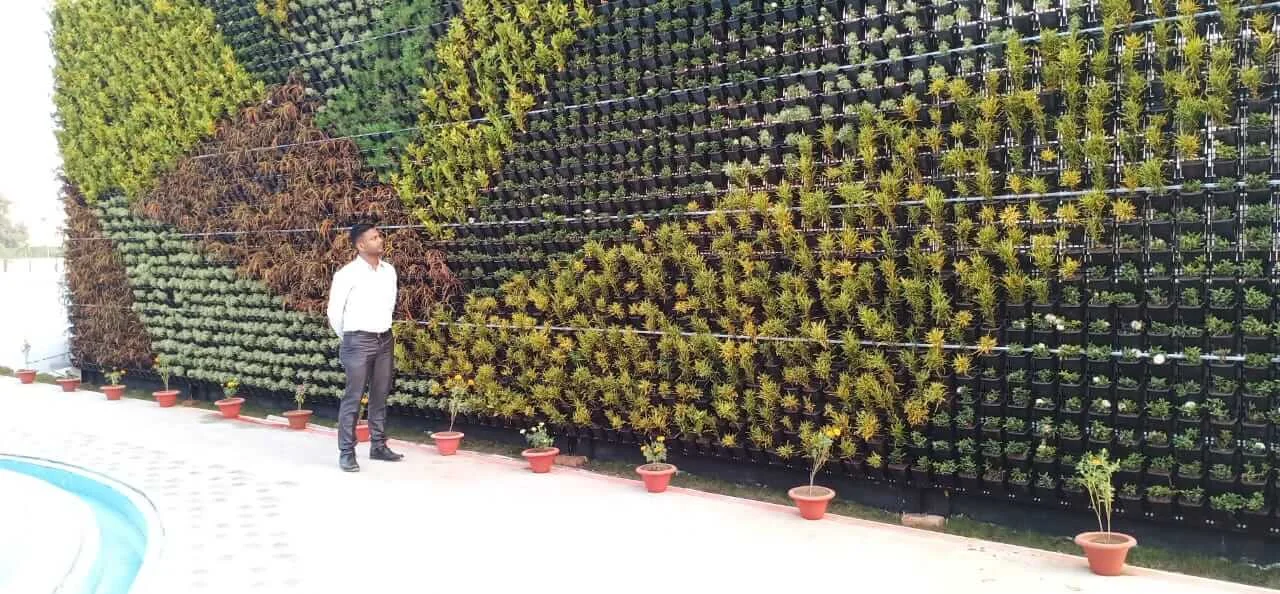Vertical Garden - gallery image
